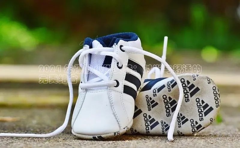 米兰体育全站app官网百度数据开放平台2024 年爆款小脚女鞋：时尚与舒适的
完美结合