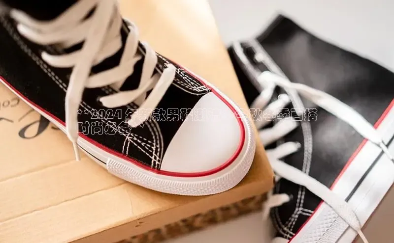 米兰网页版在线登录中海达**2024 年新款男鞋潮流：今秋冬季百搭
时尚必备**