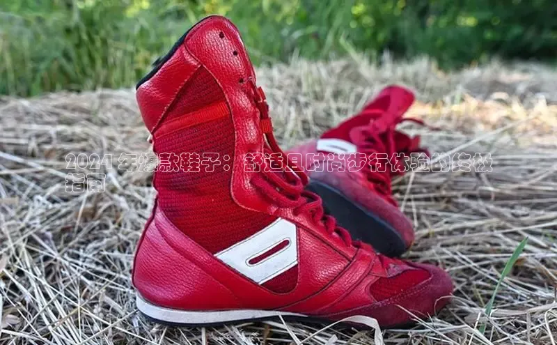 米兰app官网登录百度翻译App2024 年爆款鞋子：舒适且时尚步行体验的终极
指南