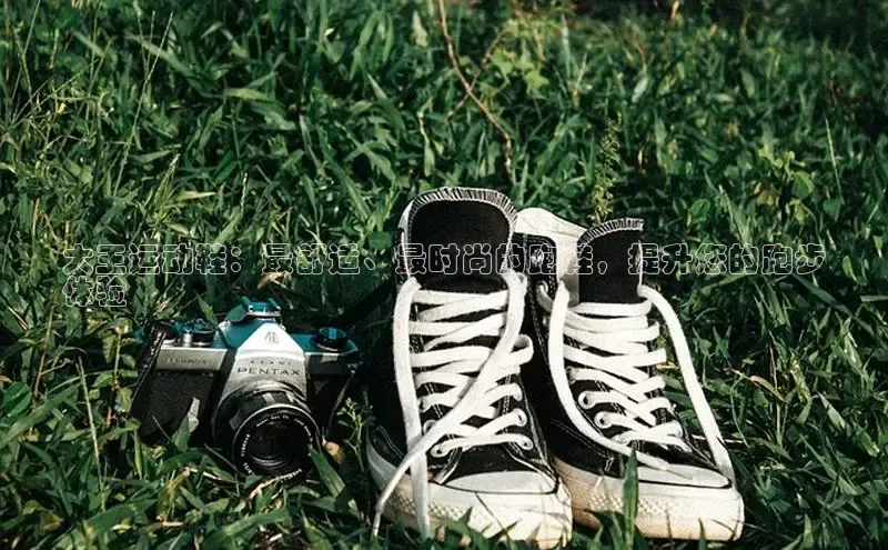 米兰网页版在线登录中海达大王运动鞋：最舒适、最时尚的跑鞋，提升您的跑步
体验