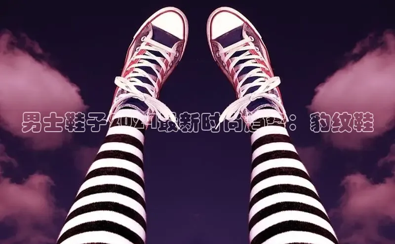 米兰全站登录入口汉得信息男士鞋子2024最新时尚趋势：豹纹鞋