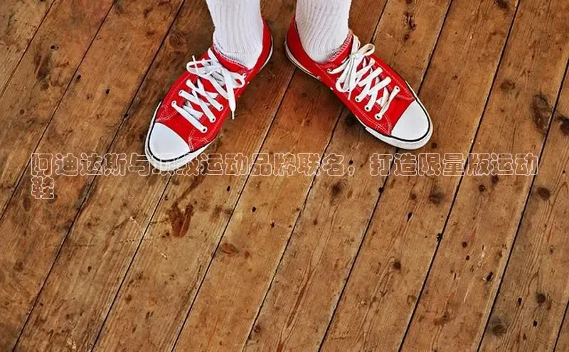 米兰app官方app下载百度集团阿迪达斯与顶级运动品牌联名，打造限量版运动
鞋