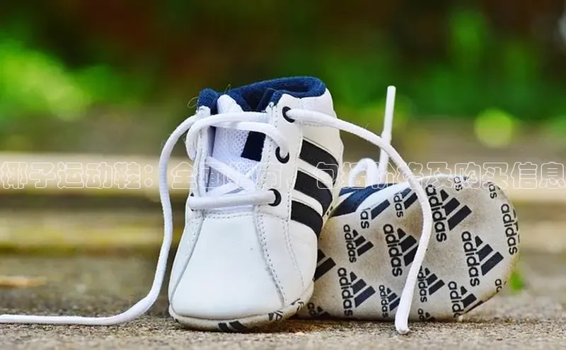 米兰app官方正版官网同程