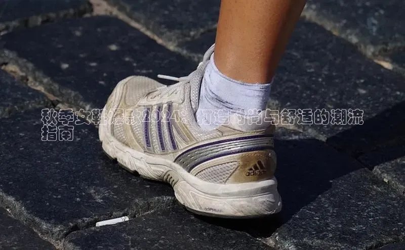 米兰在线网页版官方入口雷柏科技秋季女鞋爆款2024：打造时尚与舒适的潮流
指南