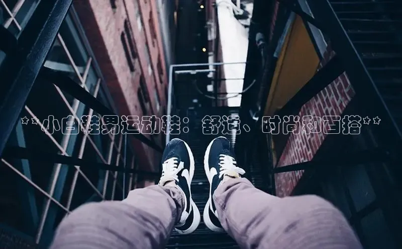 米兰app官方app下载度小满支付**小白鞋男运动鞋：舒适、时尚和百搭**