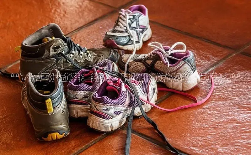 米兰app最新版本下载百度信誉**西子王运动鞋：舒适、时尚，成就您的运动梦想**