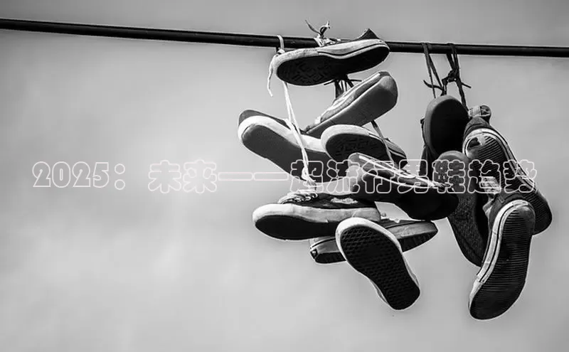 2025：未来——超流行男鞋趋势