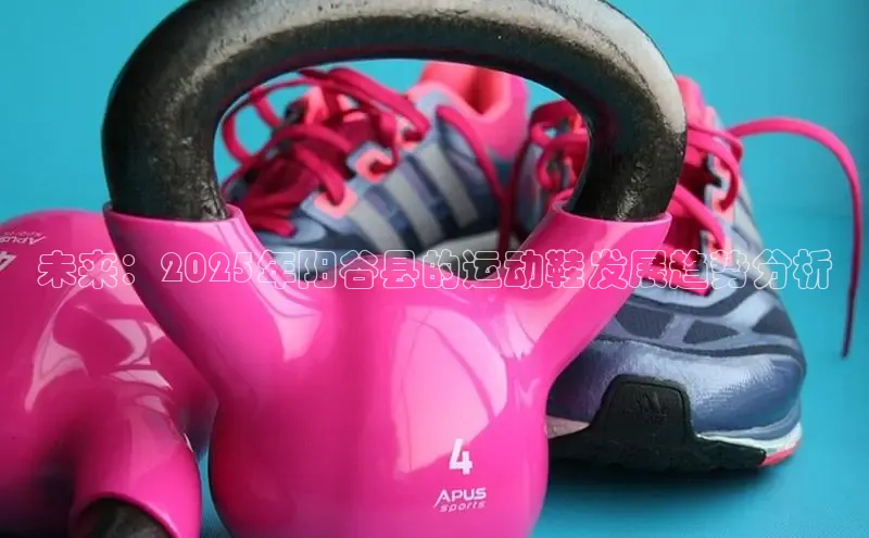 未来：2025年阳谷县的运动鞋发展趋势分析