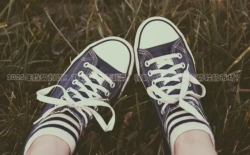 2025年趋势预测：刘媛媛引领潮流，将如何引爆李宁运动鞋的市场？