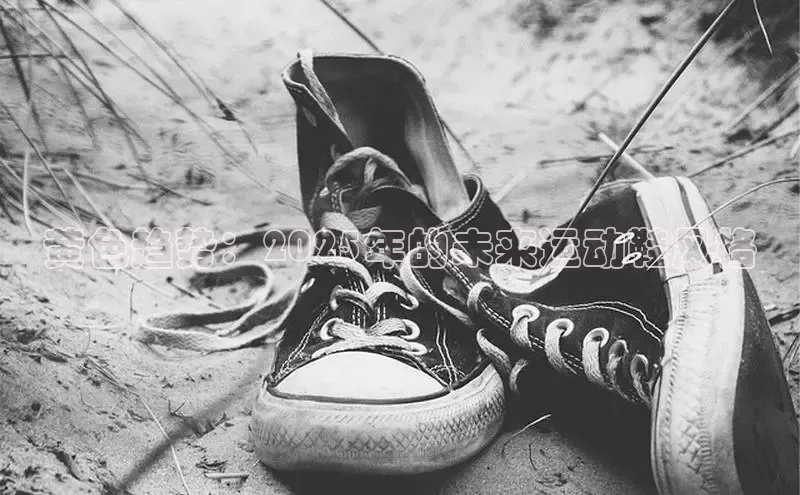 黄色趋势：2025年的未来运动鞋风格