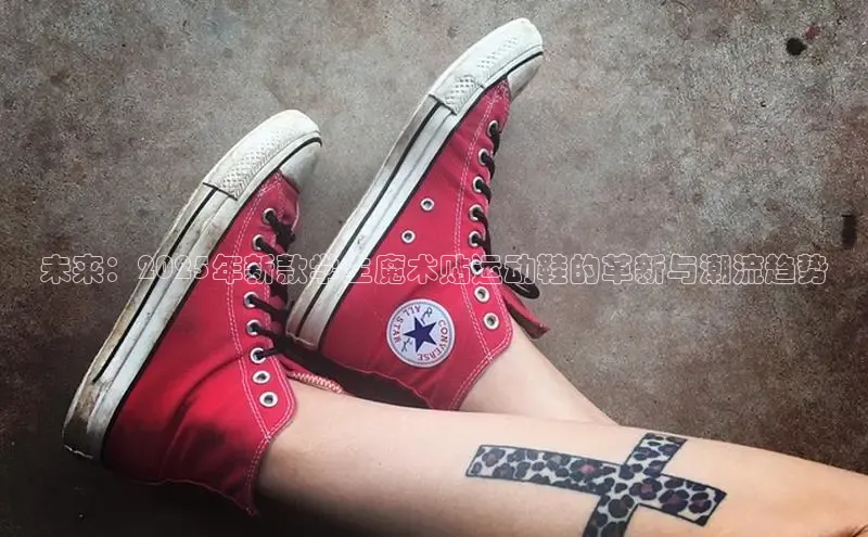 米兰app·体育登录入口